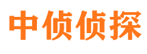 潍城市调查公司